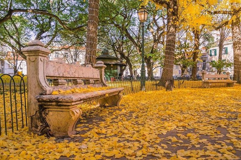 The Best Time to Visit Lisbon: An Honest Seasonal Guide